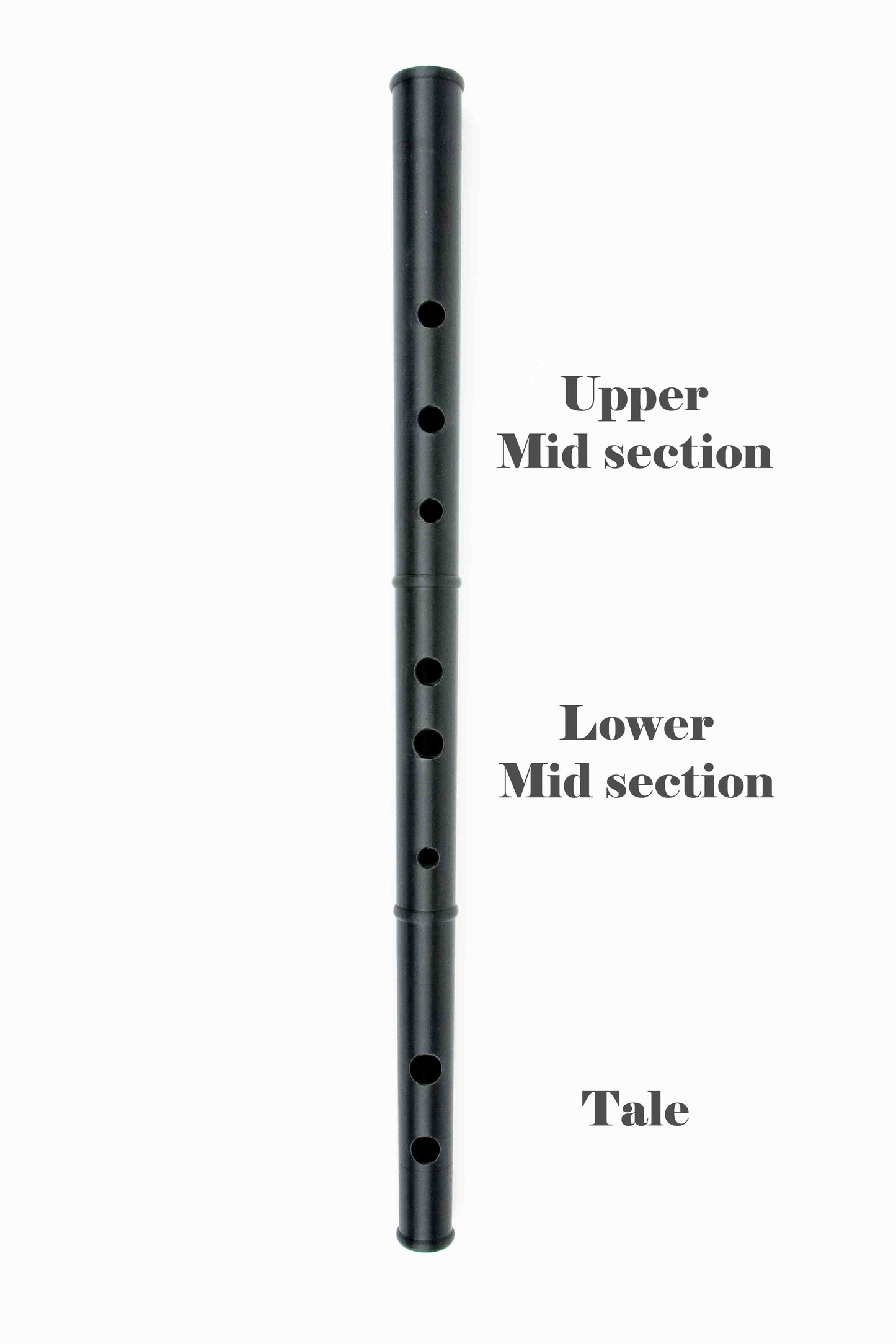 Standard body parts